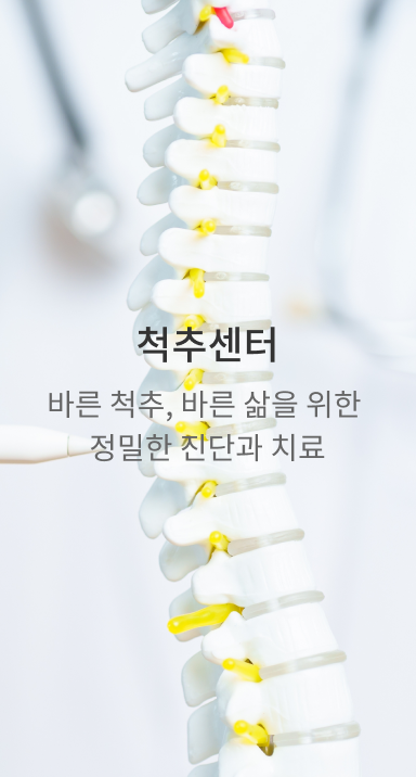척추센터