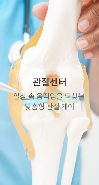 관절센터